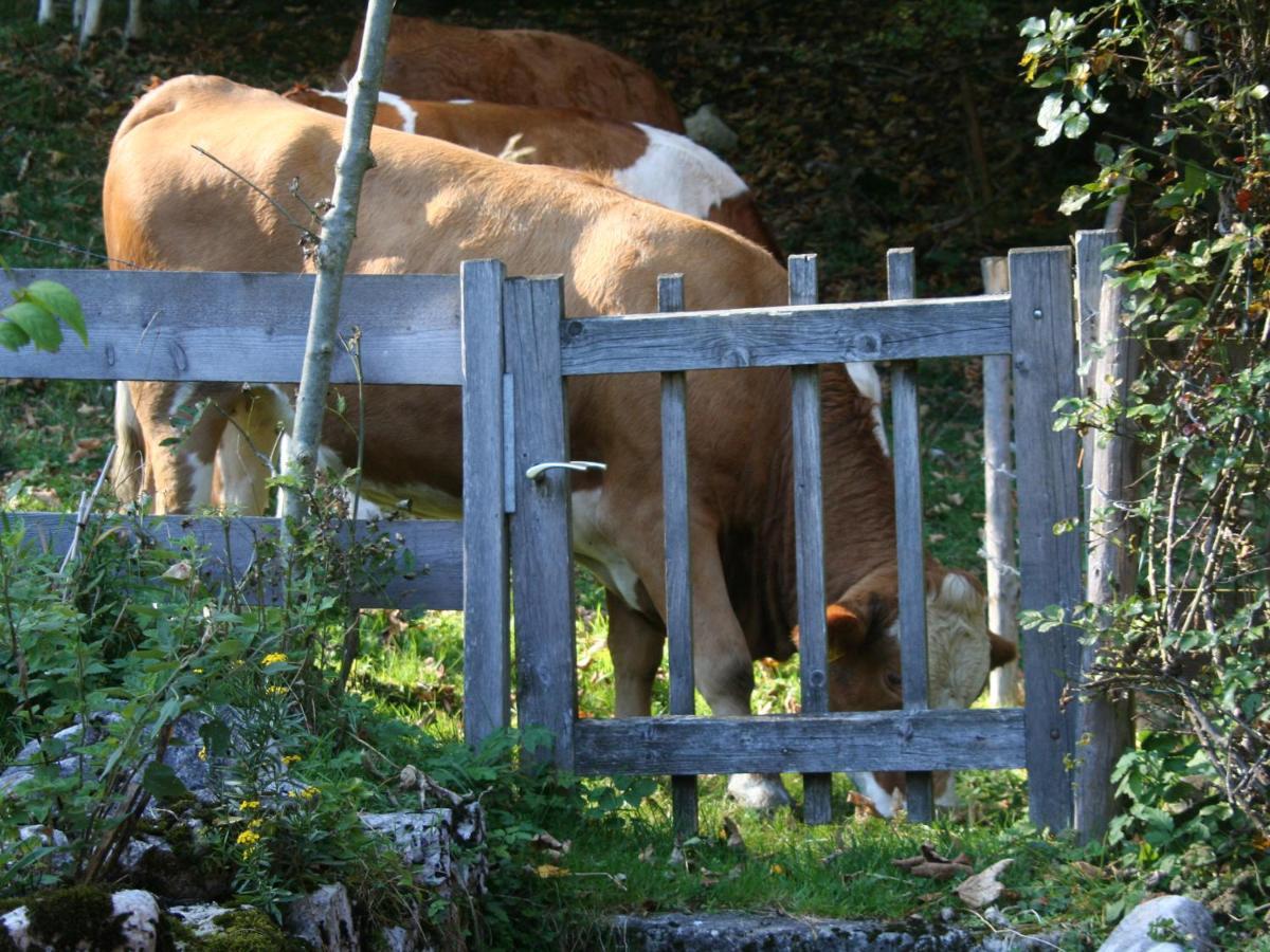 Ferienwohnungen Haus Waldwinkel Aschau im Chiemgau Zewnętrze zdjęcie